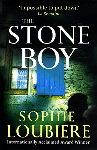 9781847445841: The Stone Boy