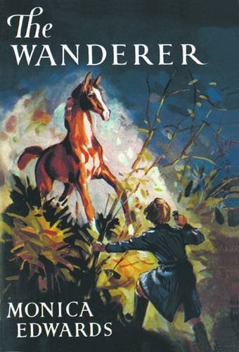 9781847451477: The Wanderer (Punchbowl Farm)