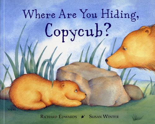 9781847460080: Where Are You Hiding, Copycub?