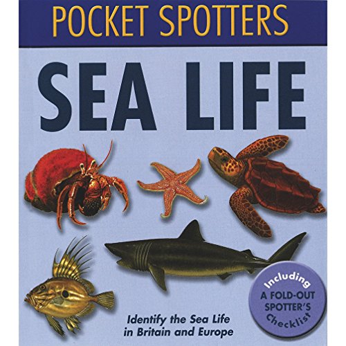 Stock image for Pocket spotters: Sea life for sale by WorldofBooks