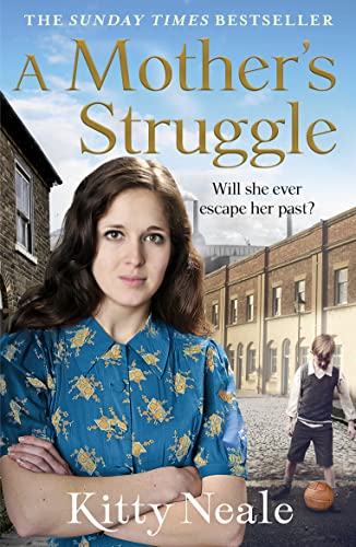 Stock image for A Mother's Struggle for sale by Better World Books