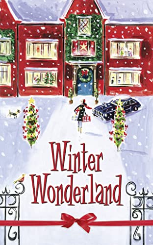 Beispielbild fr Winter Wonderland Boxset zum Verkauf von WorldofBooks