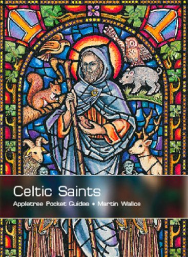 Beispielbild fr Celtic Saints zum Verkauf von WorldofBooks