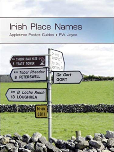 Stock image for Irish Place Names for sale by WorldofBooks