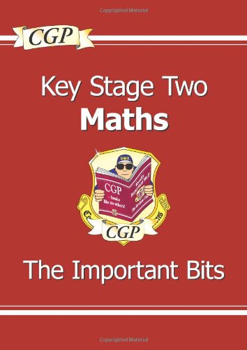 9781847621139: KS2 Maths Important Bits