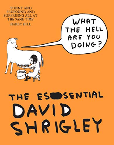 Stock image for What The Hell Are You Doing?: The Essential David Shrigley for sale by Russell Books