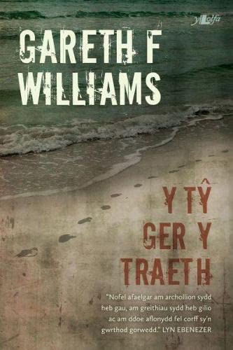 9781847714350: T Ger y Traeth, Y