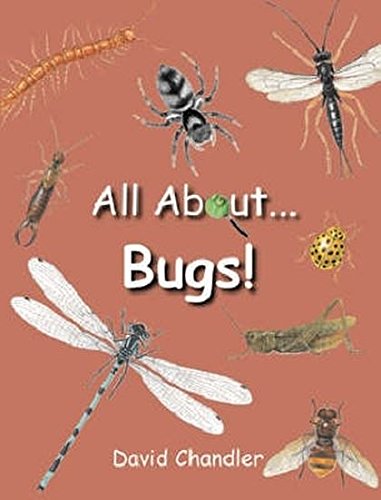 Beispielbild fr All about Bugs zum Verkauf von Better World Books