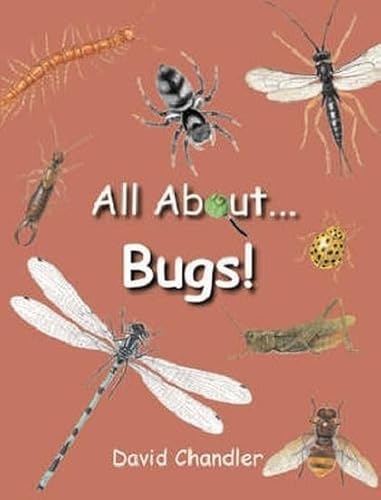 Imagen de archivo de All about Bugs a la venta por Better World Books