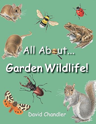 9781847730527: All About Garden Wildlife