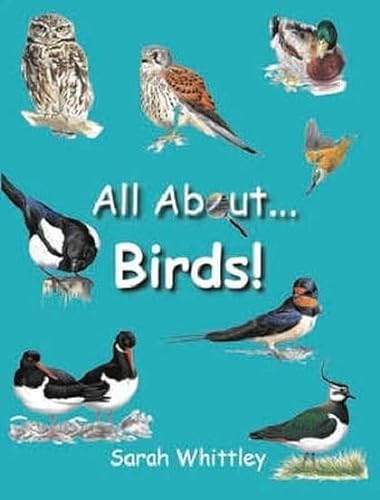Stock image for All About Birds for sale by WorldofBooks