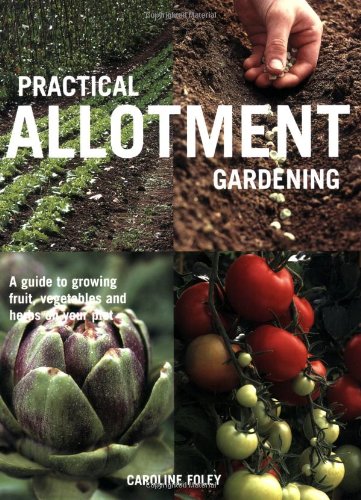 Imagen de archivo de Practical Allotment Gardening: A Guide to Growing Fruit, Vegetables and Herbs on Your Plot a la venta por AwesomeBooks