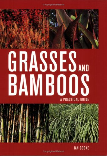 Beispielbild fr Grasses and Bamboos: A Practical Guide zum Verkauf von WorldofBooks