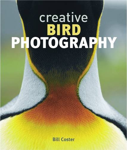 Beispielbild fr Creative Bird Photography zum Verkauf von WorldofBooks