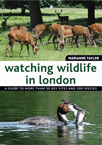 Beispielbild fr Watching Wildlife in London zum Verkauf von Lewes Book Centre