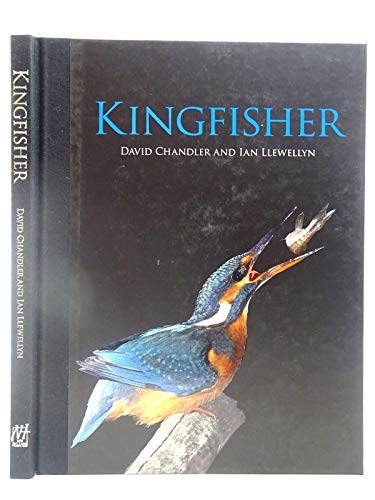 Stock image for Kingfisher for sale by Clevedon Community Bookshop Co-operative