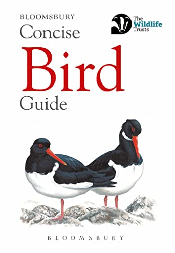 Imagen de archivo de Concise Bird Guide (Concise Guides) a la venta por WorldofBooks