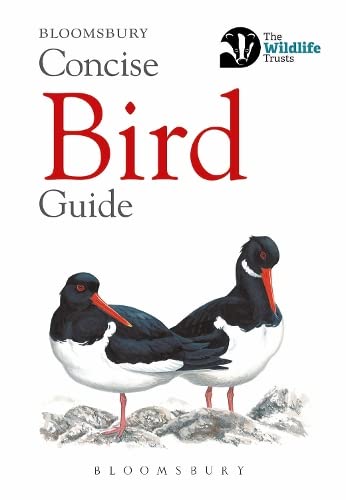 Stock image for Concise Bird Guide (Concise Guides) for sale by WorldofBooks