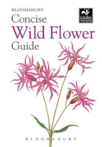Stock image for Concise Wild Flower Guide (Concise Guides) for sale by Anybook.com
