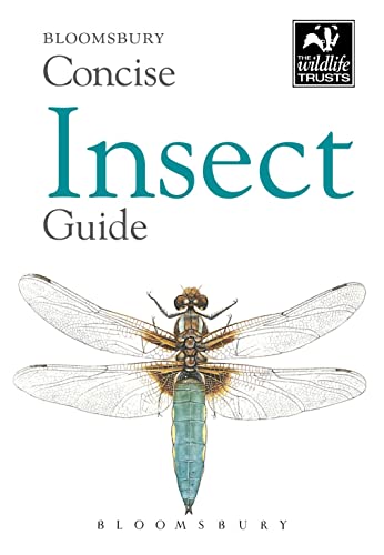 Stock image for New Holland Concise Insect Guide (New Holland Concise Guides) for sale by Brit Books