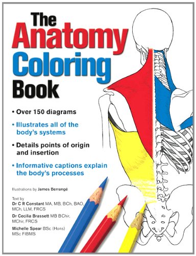 Beispielbild fr Anatomy Colouring Book zum Verkauf von Better World Books