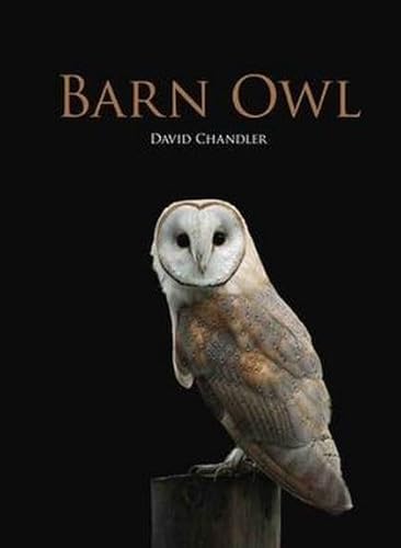 Barn Owl (9781847737687) by Chandler, David