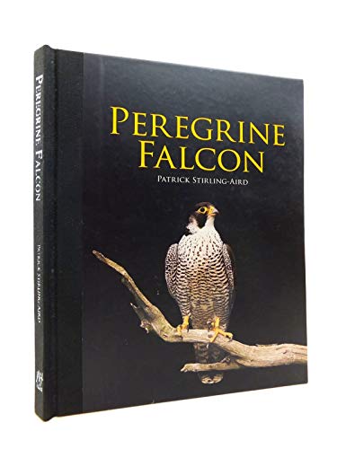 9781847737694: Peregrine Falcon