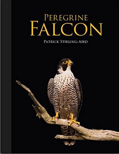 9781847737694: Peregrine Falcon