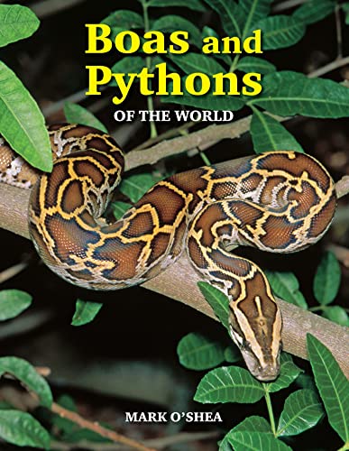 Beispielbild fr Boas And Pythons Of The World zum Verkauf von AwesomeBooks