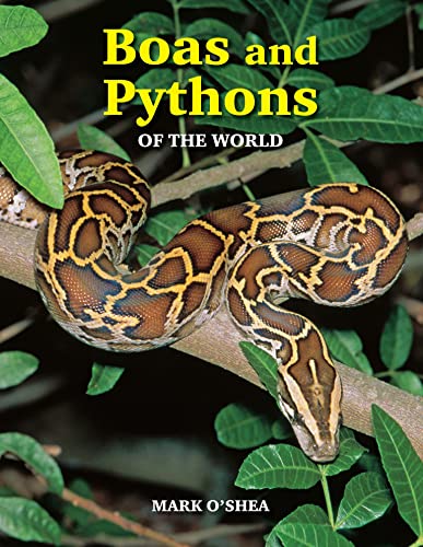 9781847738721: Boas and Pythons of the World