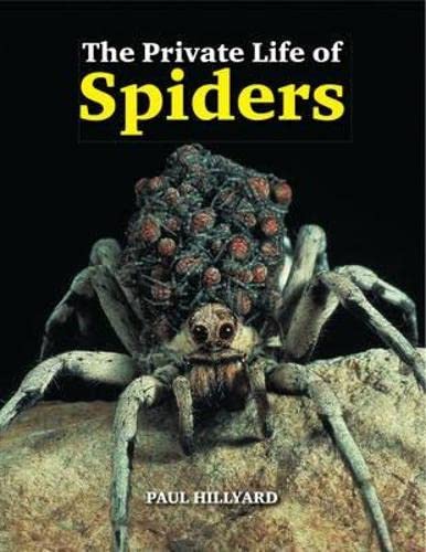 Beispielbild fr The Private Life of Spiders zum Verkauf von HPB-Red