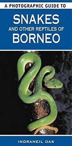 Imagen de archivo de A Photographic Guide To Snakes & Other Reptiles Of Borneo a la venta por Broadleigh Books