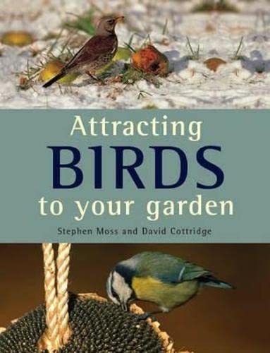 9781847739827: Attracting Birds To Your Garden