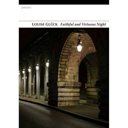 Stock image for Faithful and Virtuous Night for sale by WorldofBooks