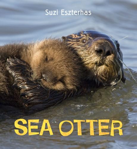 Stock image for Sea Otter (Eye on the Wild) for sale by WorldofBooks