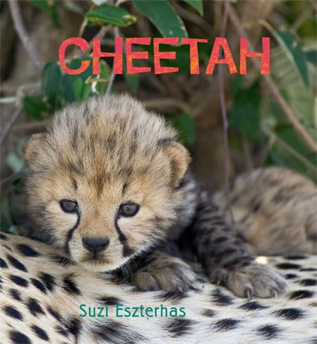 Beispielbild fr Cheetah (Eye on the Wild) zum Verkauf von WorldofBooks