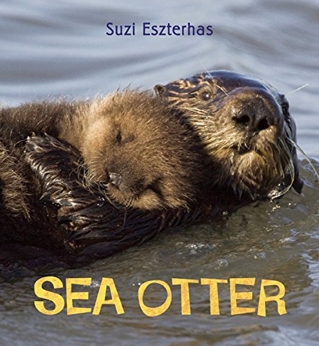 Beispielbild fr Eye on the Wild: Sea Otter zum Verkauf von ThriftBooks-Dallas