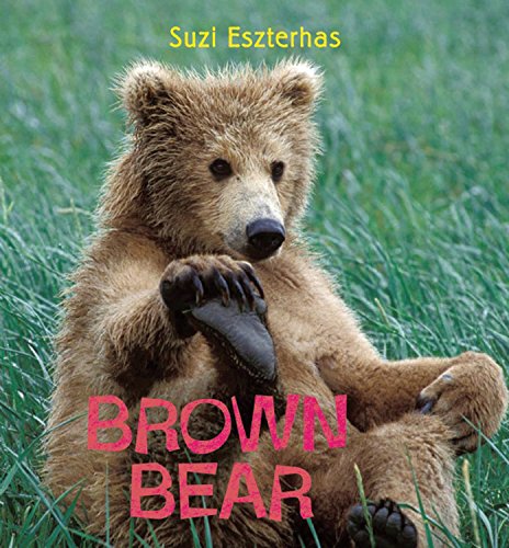 Beispielbild fr Brown Bear zum Verkauf von ThriftBooks-Atlanta