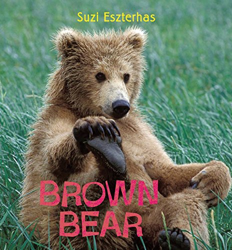 9781847803023: Brown Bear (Eye on the Wild)