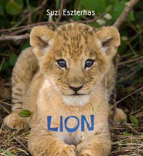 Stock image for Lion (Eye on the Wild): Volume 3 for sale by WorldofBooks