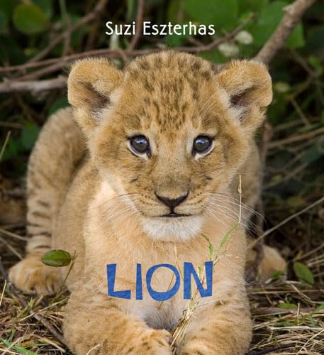 Beispielbild fr Lion (Eye on the Wild): Volume 3 zum Verkauf von WorldofBooks