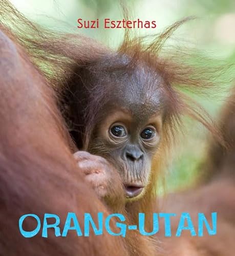 Stock image for Orang-utan (Eye on the Wild) for sale by WorldofBooks
