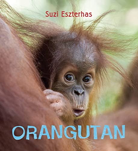 Beispielbild fr Eye on the Wild: Orangutan zum Verkauf von ThriftBooks-Dallas