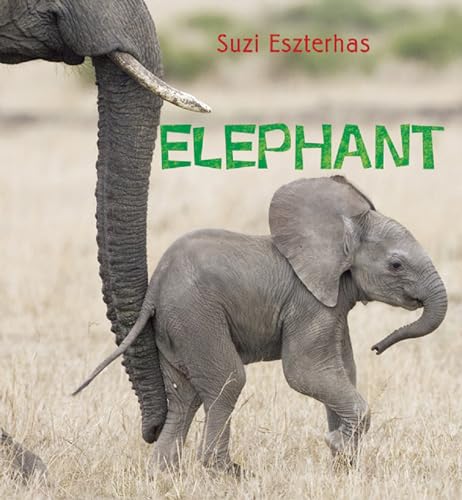 Beispielbild fr Elephant (Eye on the Wild) zum Verkauf von WorldofBooks