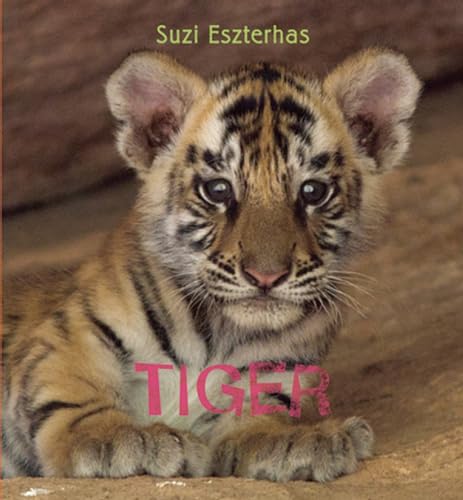 Beispielbild fr Eye on the Wild: Tiger zum Verkauf von Gulf Coast Books