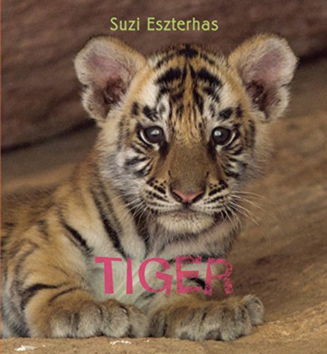 Stock image for Eye on the Wild: Tiger for sale by Gulf Coast Books