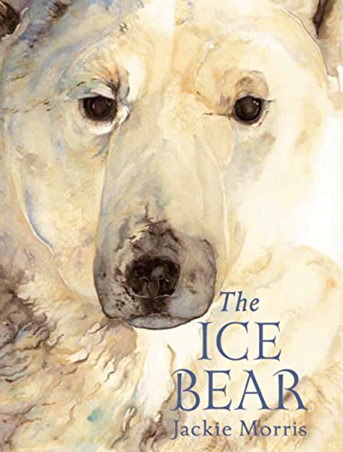 9781847805485: The Ice Bear Mini Edition