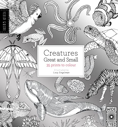 Beispielbild fr Field Guide: Creatures Great and Small zum Verkauf von WorldofBooks