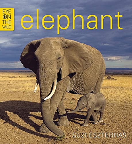 Beispielbild fr Elephant zum Verkauf von WorldofBooks