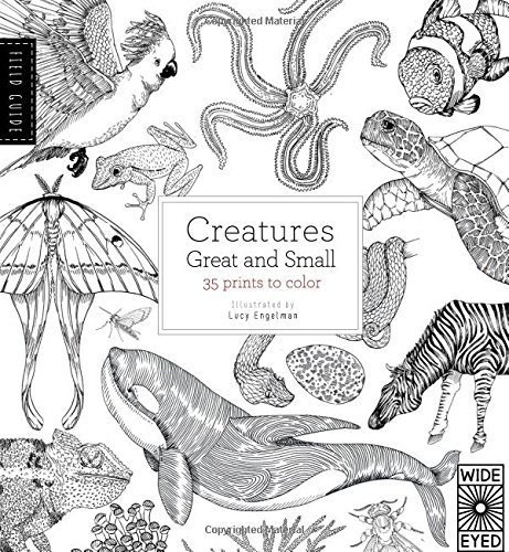 Stock image for Field Guide: Creatures Great and Small: 35 prints to color for sale by SecondSale